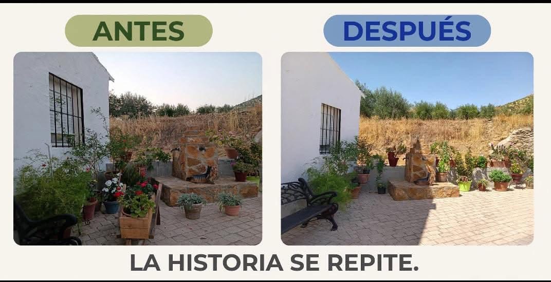 Denuncian la desaparición de un carro y varias macetas durante la feria de El Hoyo