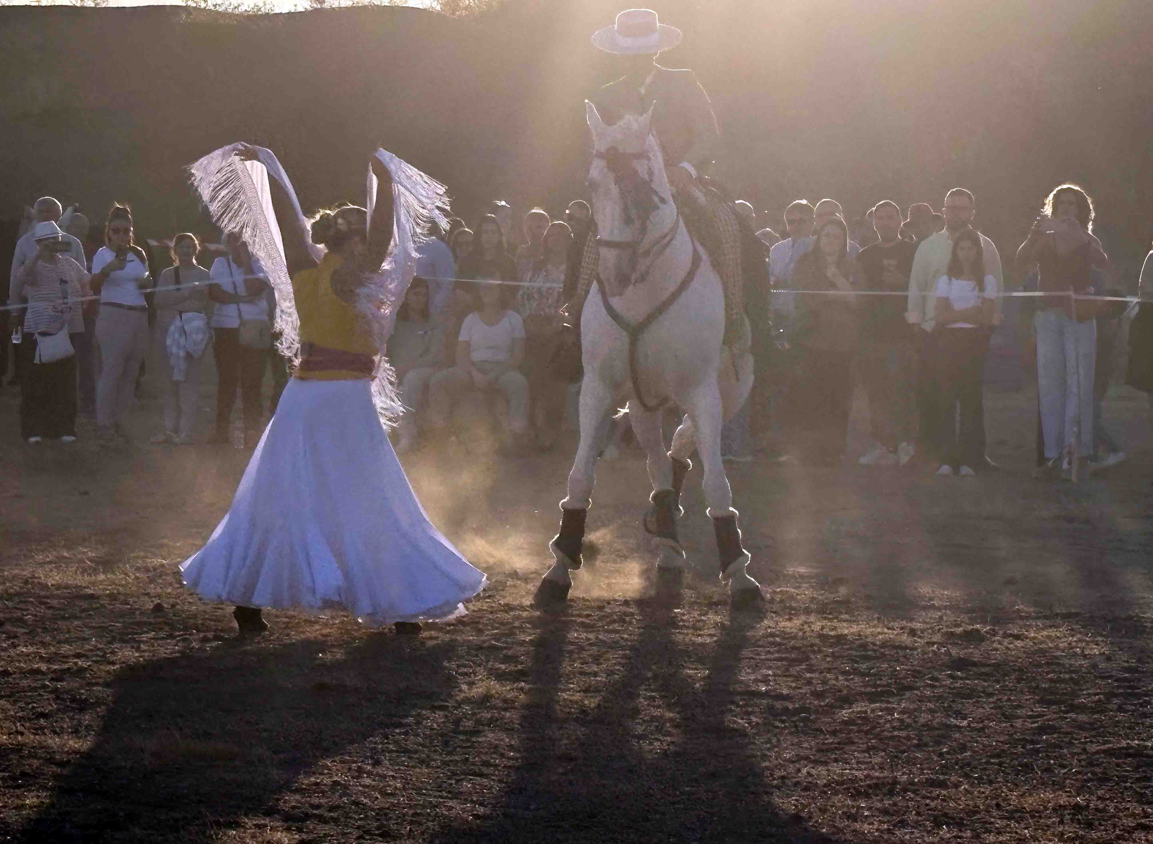 Alta escuela, sevillanas y fantasía en la exhibición ecuestre de la Feria de Peñarroya-Pueblonuevo