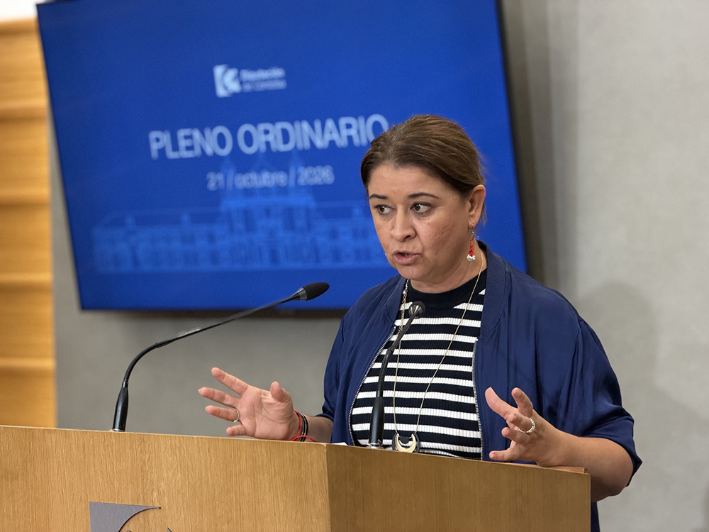 IU reclama al Gobierno provincial del PP que desbloquee los cinco millones para inversiones municipales y propone ayudas al alquiler con el remanente del IPBS
